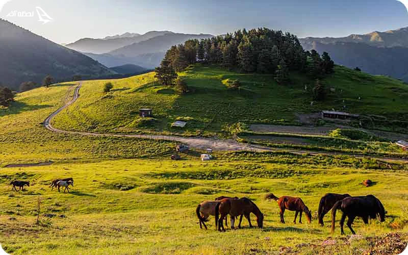 پارک ملی توشتی؛ بهشت پنهان در ارتفاعات کاختی